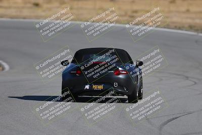 media/Nov-19-2023-Extreme Speed (Sun) [[bd0eec5490]]/Purple/Back Shots/